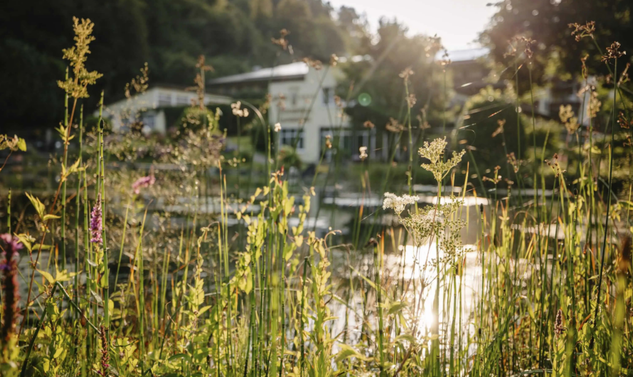 Exklusiver Wellnessurlaub in den Bergen